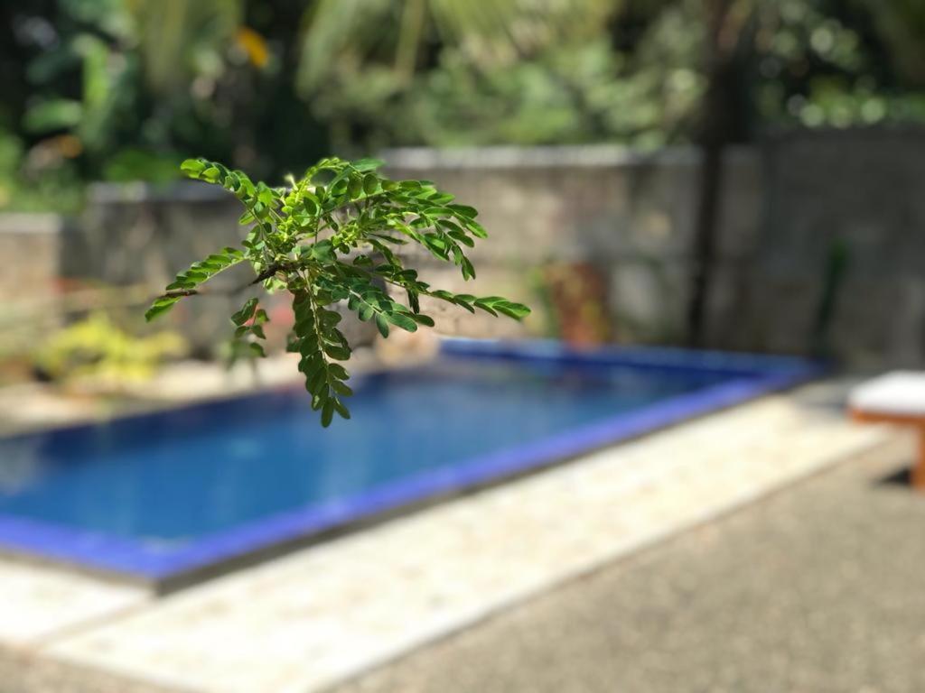 Peaceful Green Villa Unawatuna Exteriör bild