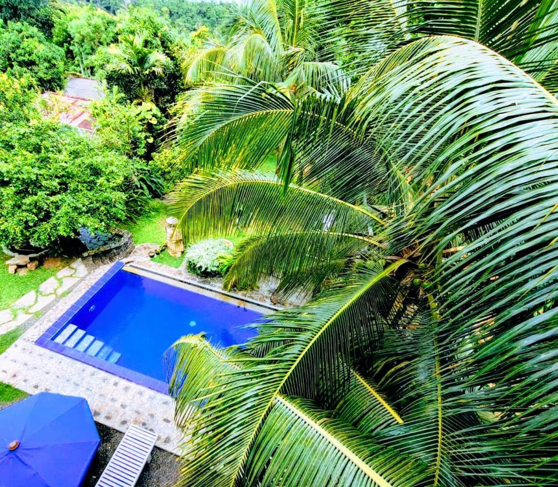 Peaceful Green Villa Unawatuna Rum bild